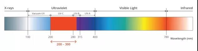 UV LED Light