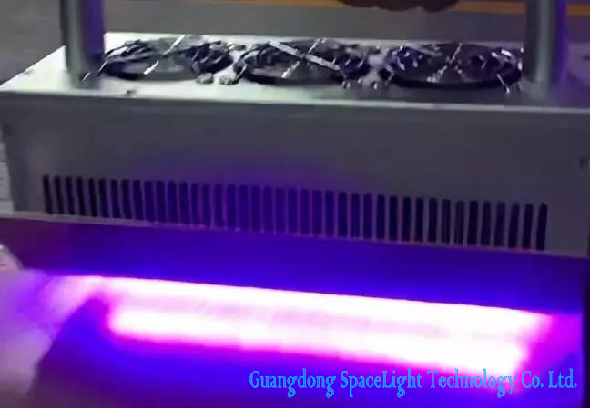 High Efficiency NICHIA UV Chip for UV Flashlight