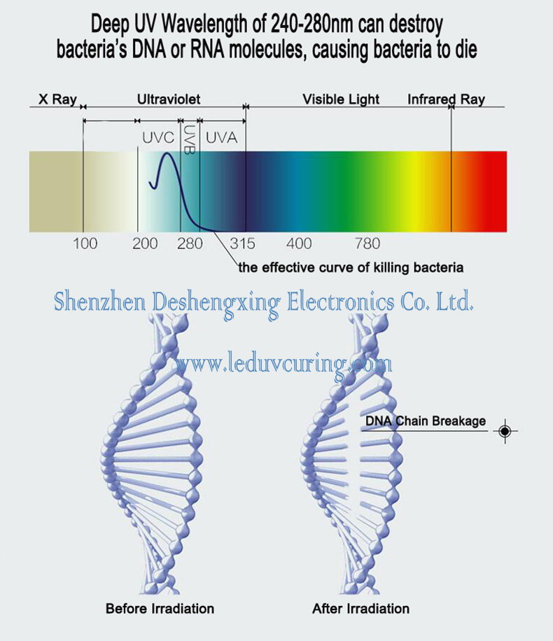 UVC Ultraviolet Sterilizing Light Killing Bacteria Suppliers