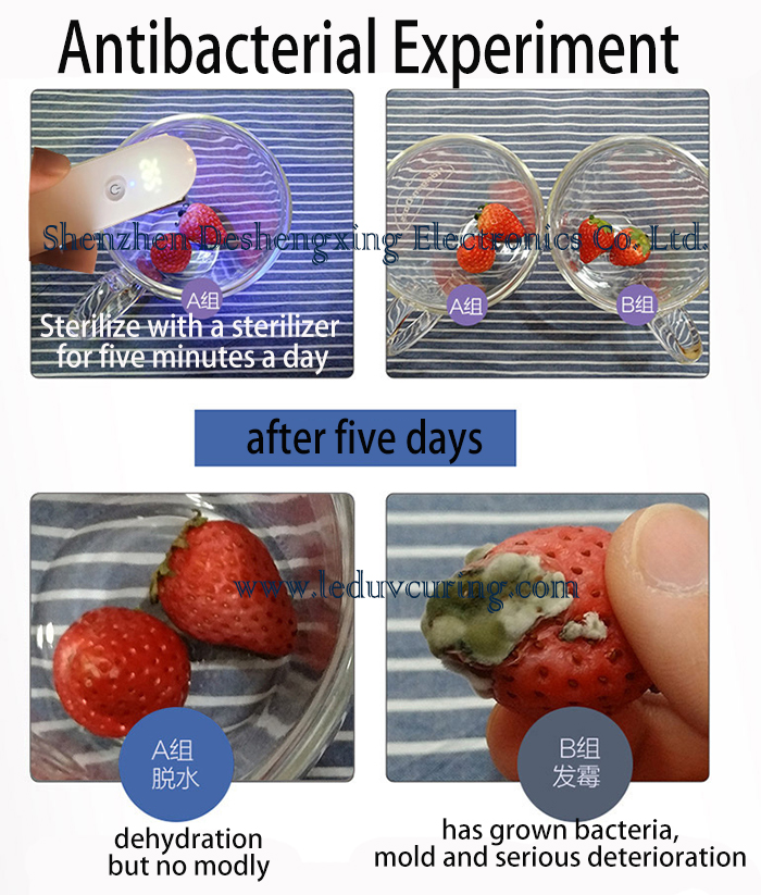 Antiseptic UVC UV LED Sterilizer Killing Bacteria