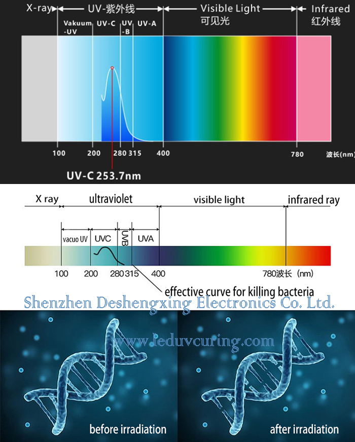 360 Degree UVC LED Toothbrush Sterilizer for Healthcare