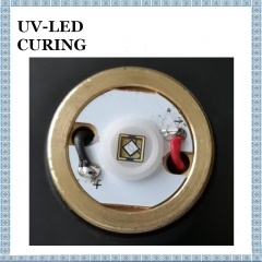 NICHIA 365nm 6W UV Flashlight