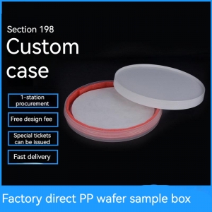 Silicon Wafer Carrier Storage Box