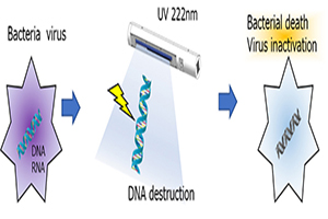 Bio-safety of 222nm Irradiation Lamp for Sterilization